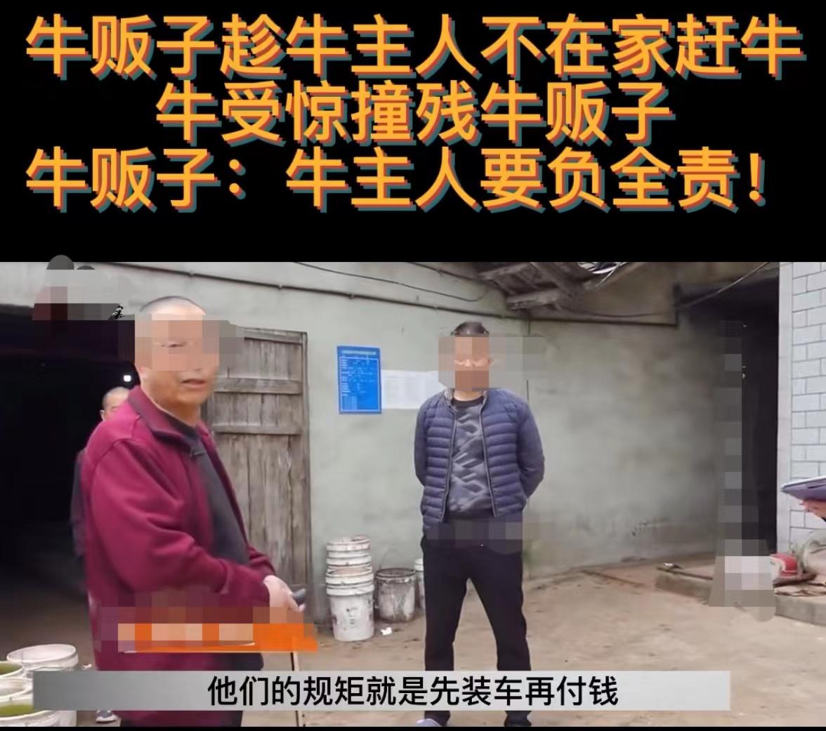 偷牛被牛撞死家属要求赔偿,卖牛被牛撞怎么分责任