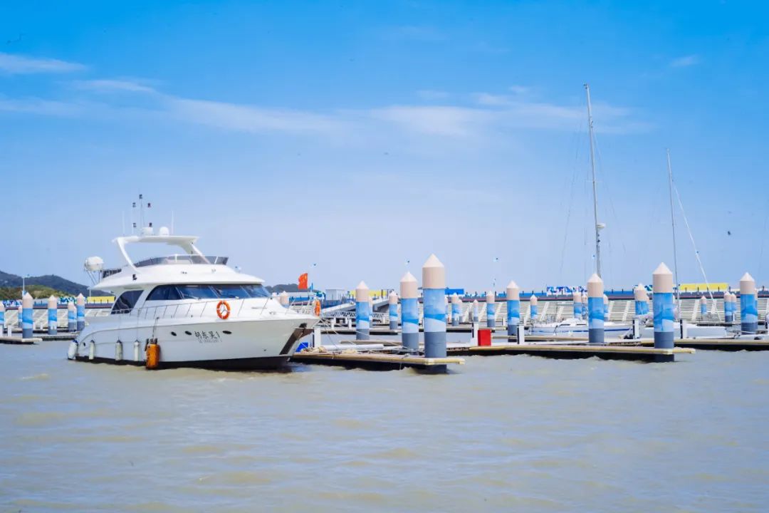 真吃不下了,这个靠海吃海的小县城怎么就能这么好吃