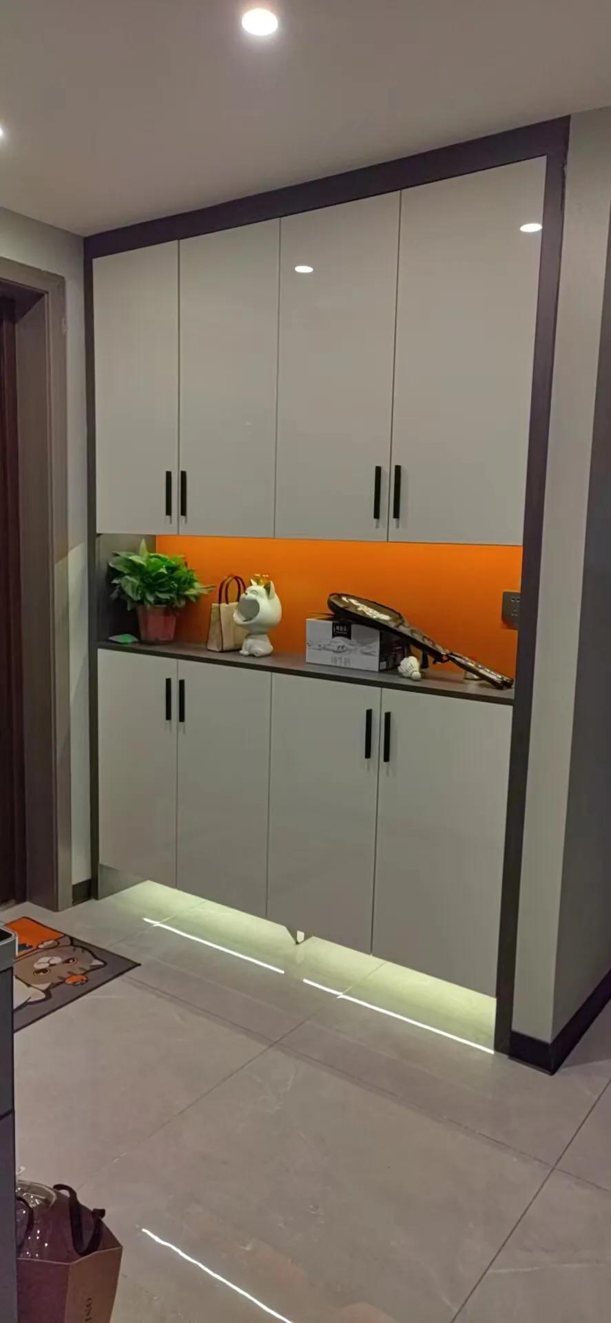 成都定制柜子鲁丽欧松板配PET肤感和高光门安装完工！640元/平方