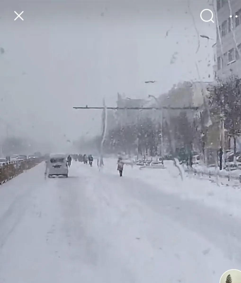 致敬老兵公交车,致敬盘锦