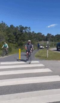 拜登又摔倒,拜登摔倒的消息是真的吗