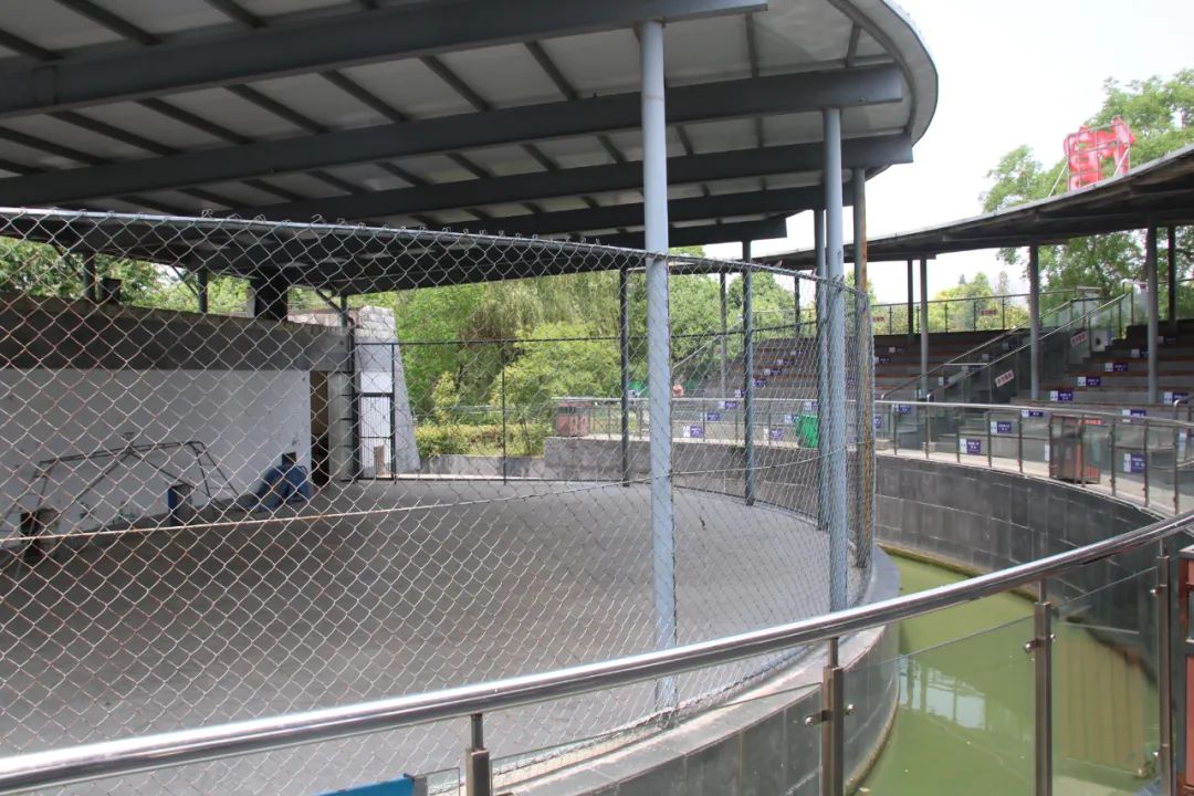 邢台动物园变大了没,淮安动物园开发时间