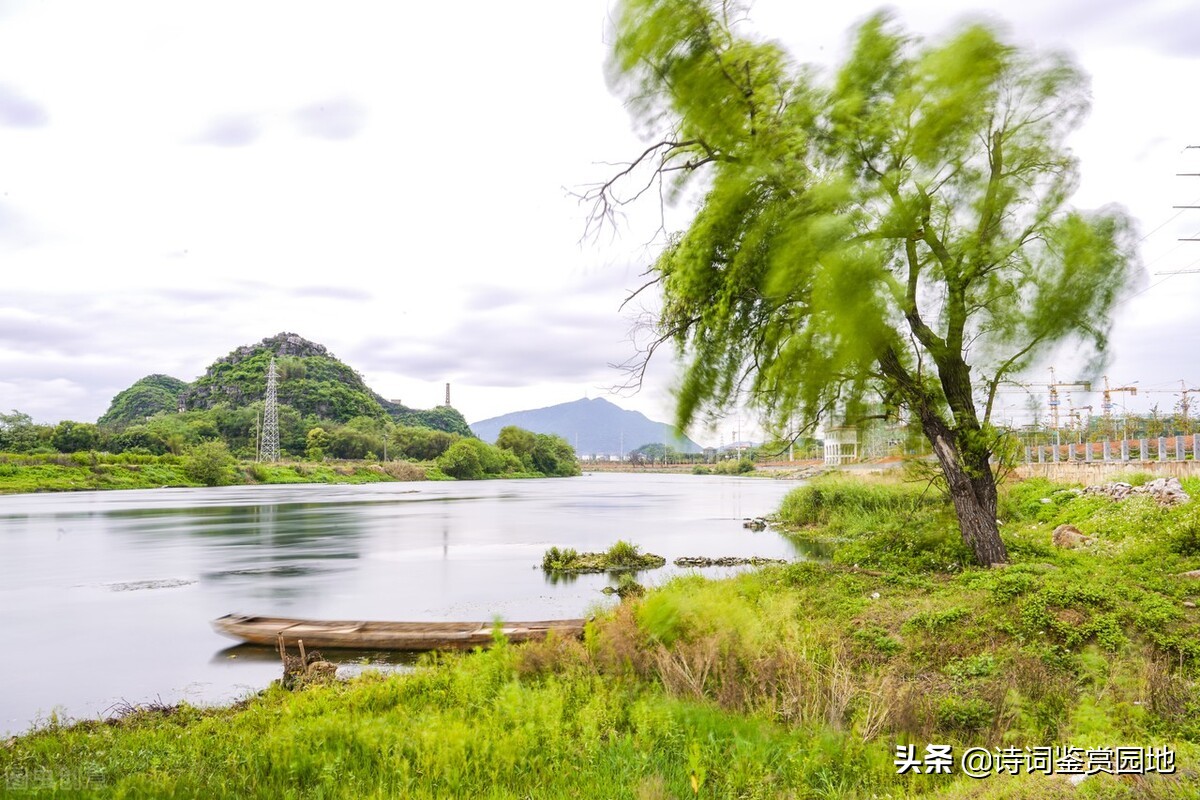 竹枝词刘禹锡杨柳青青江水平,刘禹锡的全部柳枝词