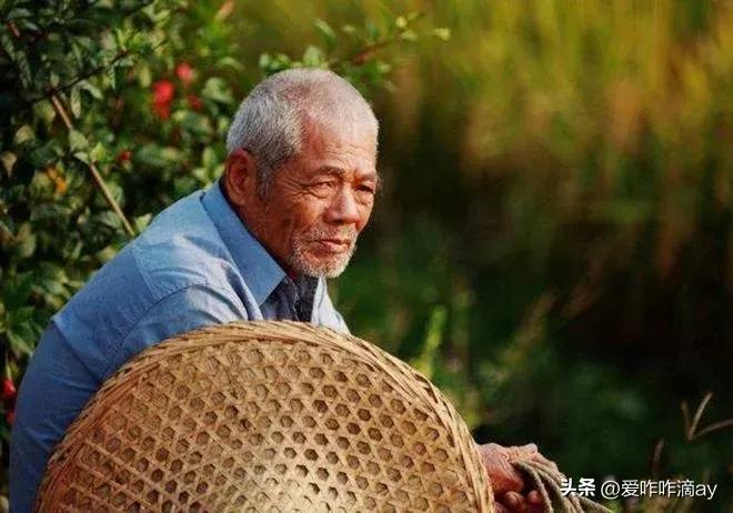 代马依风成语意思,一日一则典故成语