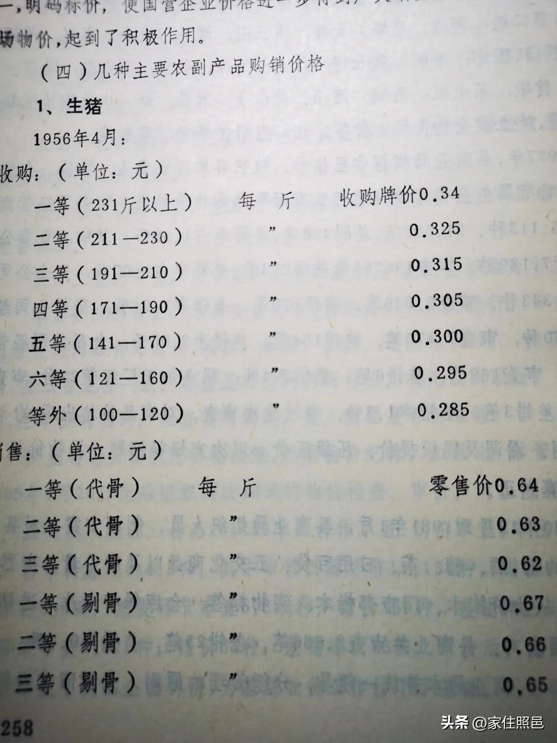 日照有什么好玩的地方,日照绿茶价格表