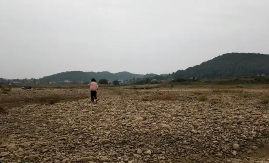 河南一水库水位急剧下降,河南水库发现2500年前古墓