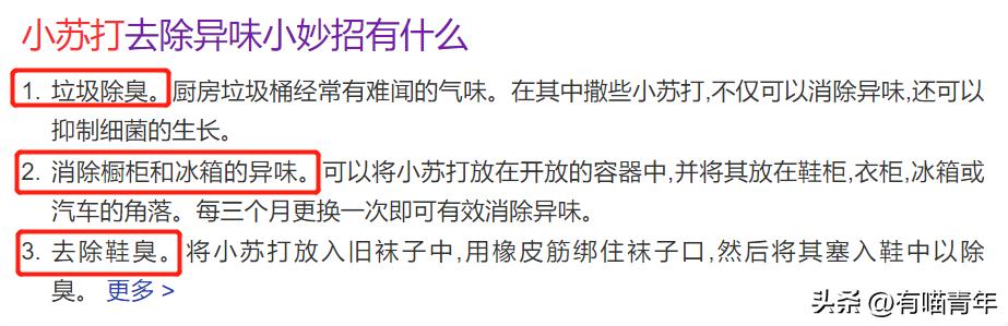 100件养猫好物,十元左右养猫好物分享