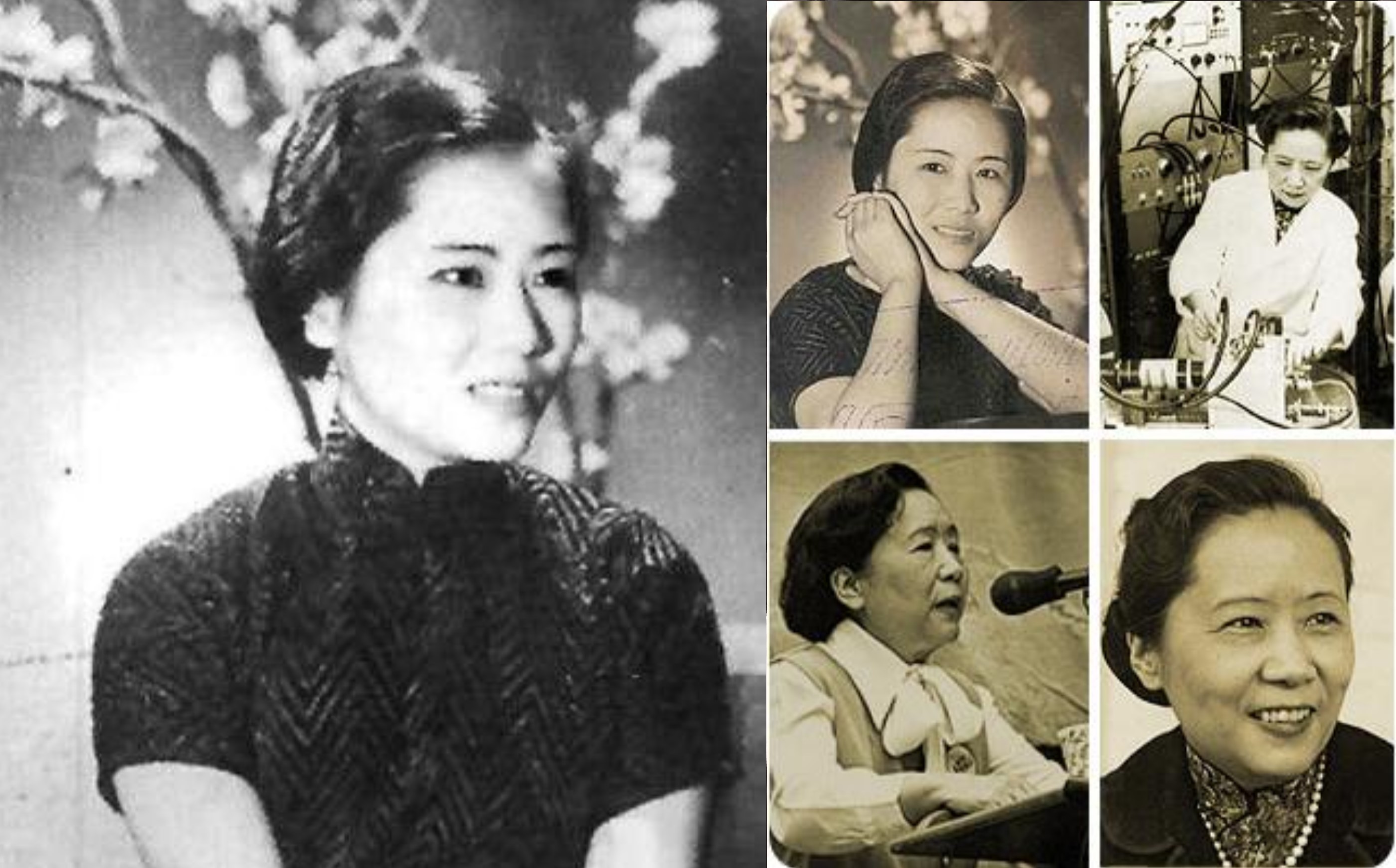 物理学家吴健雄简历,中国女科学家吴健雄的故事