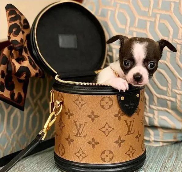 lv发财桶专柜价格多少,lv发财桶代购14500靠谱吗