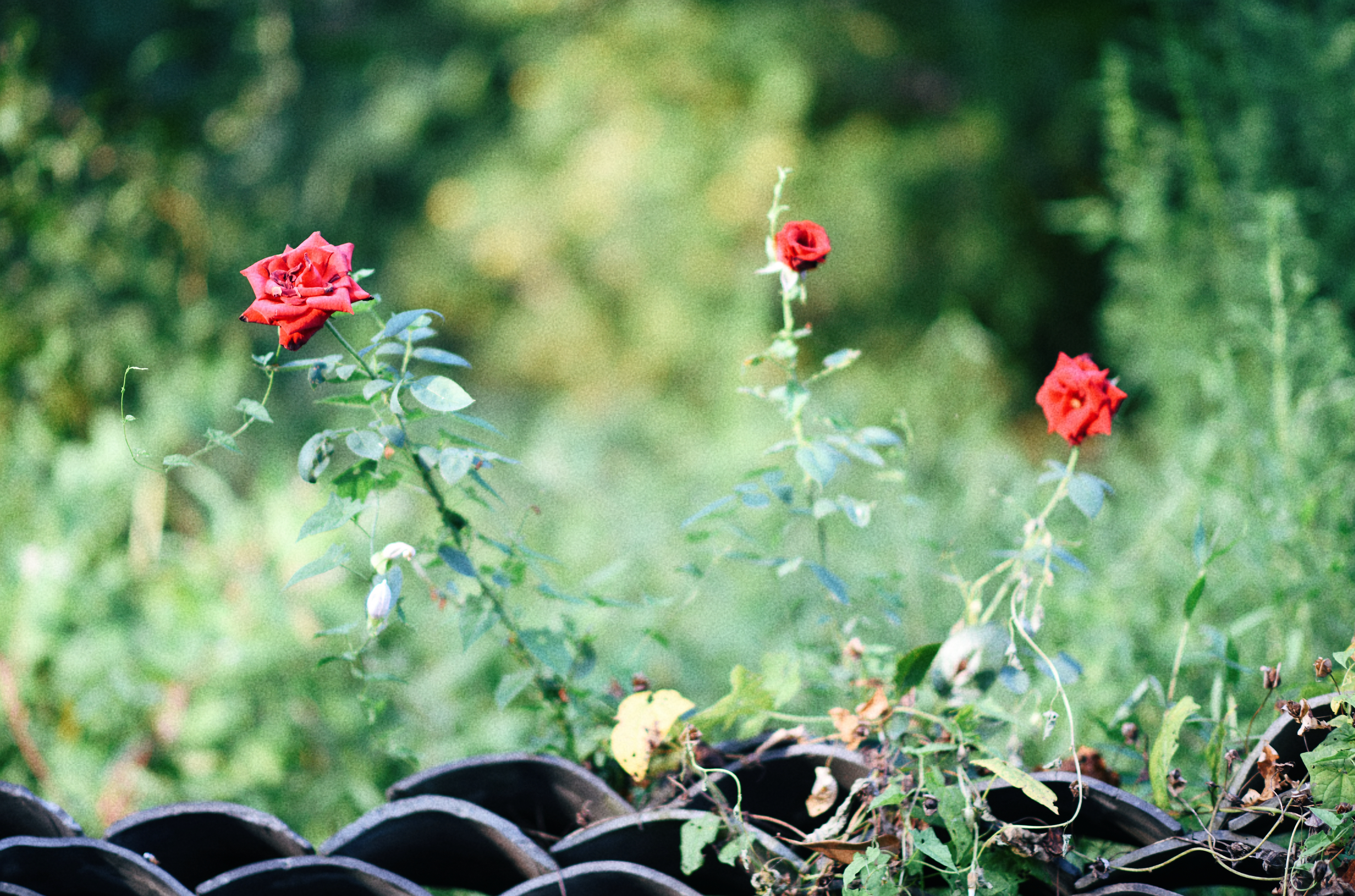 界石见山空谷民宿,巴南界石世外桃源