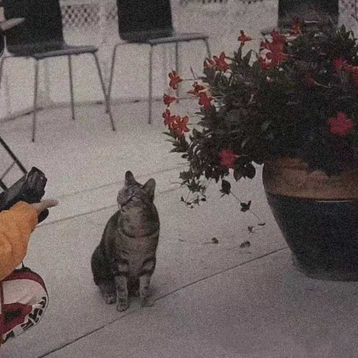 含蓄低调让人不会发现的情侣头像,隐晦又不易察觉的情侣头像