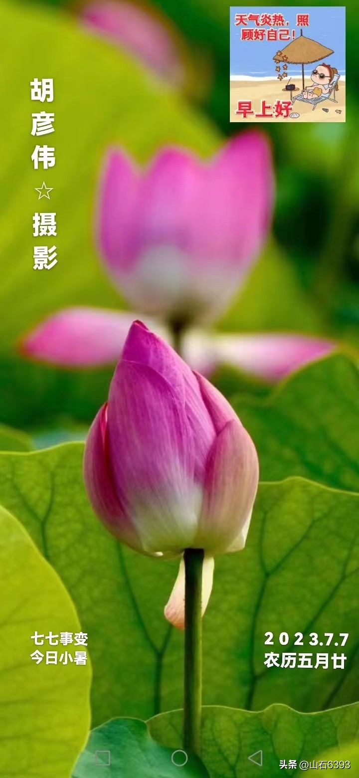 【战友美文】丁献礼“小诗余味”41：《解字：七•七》、《小暑》