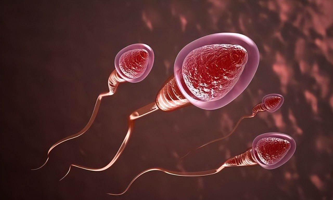 男人太久不排精，有什么影响？会不会丧失生育能力？