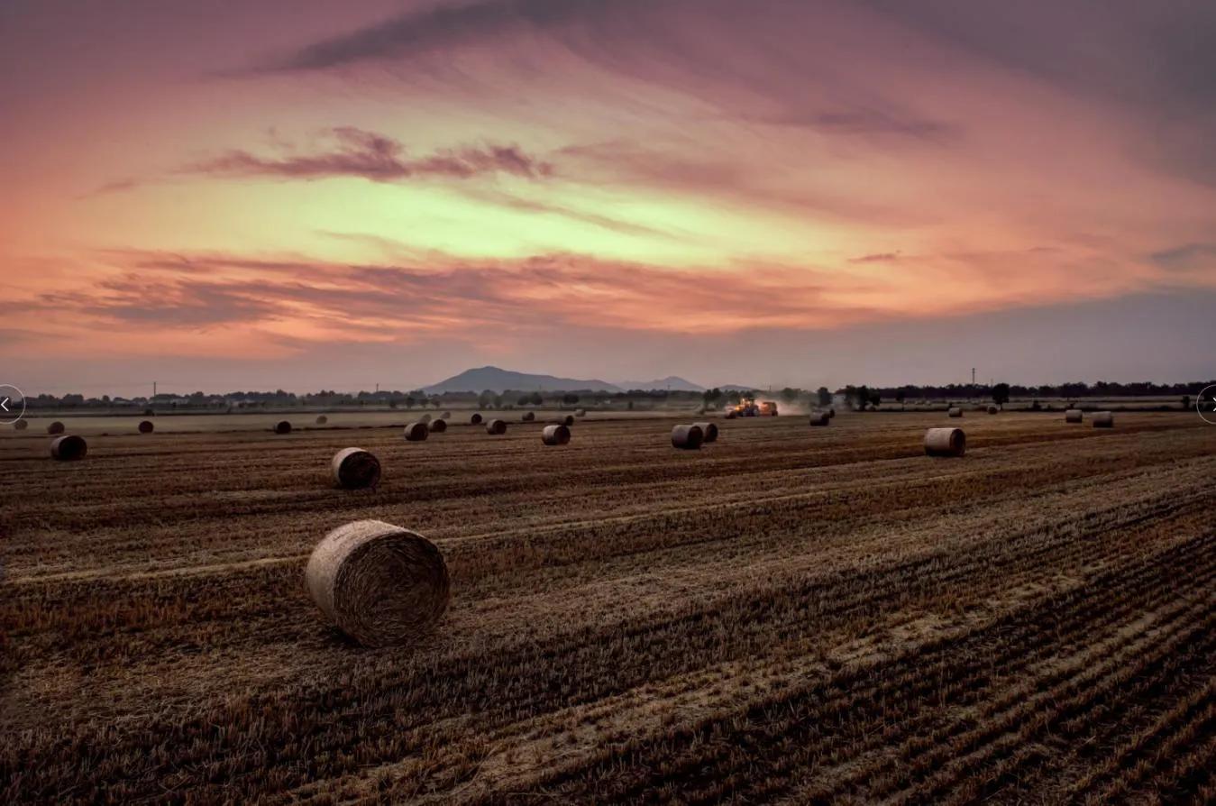 写作对于个人发展的意义,自媒体写作的意义