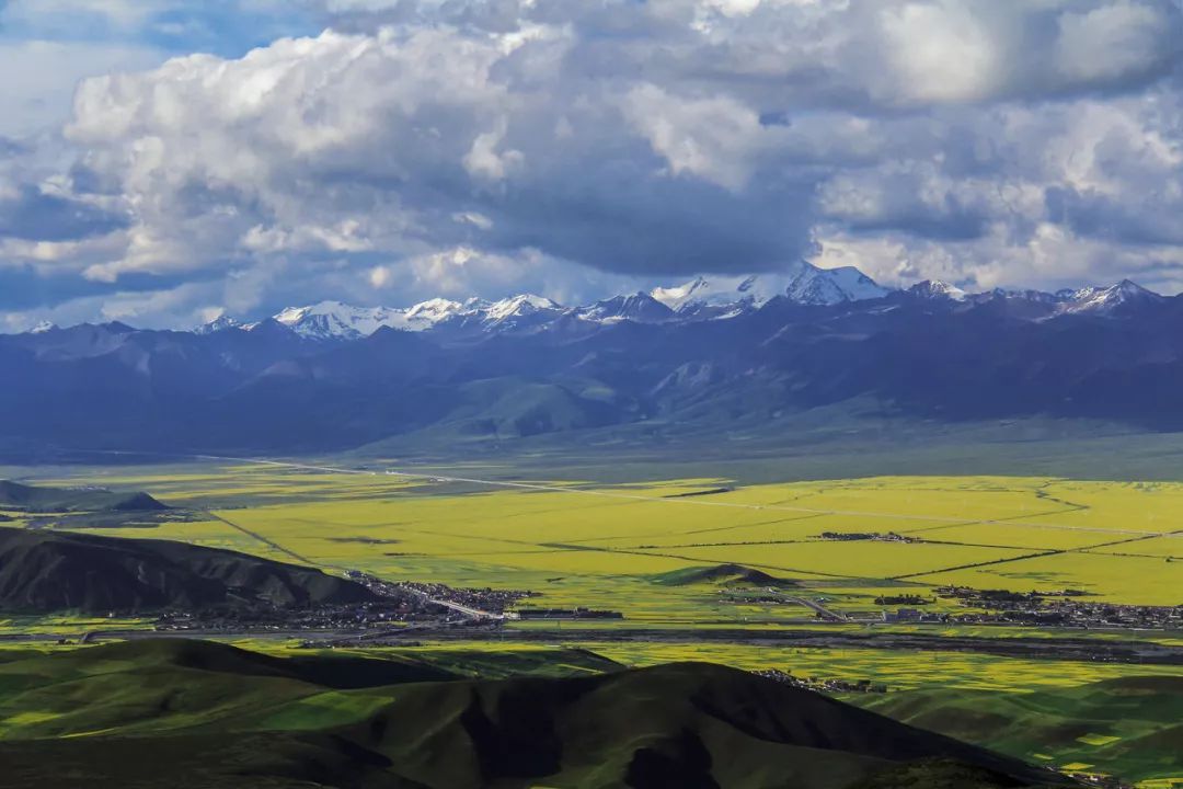 中国吃羊的视频,中国饮食行业三巨头
