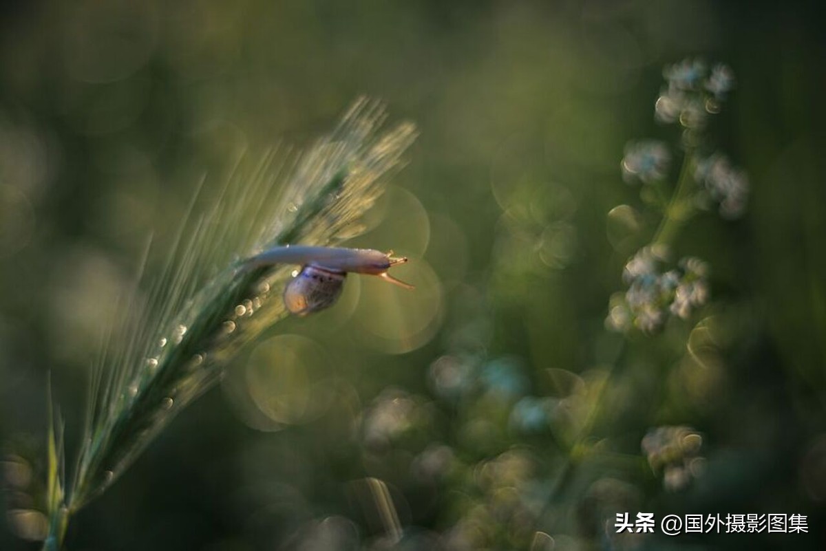 最美的景色秋天照片高清,夏天和秋天的绝美照片