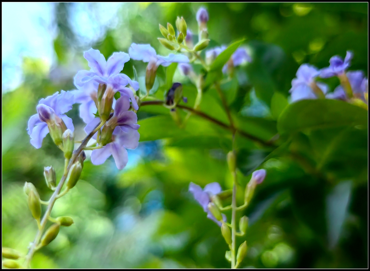 古人劝学诗句大全,古人的劝学诗有哪些