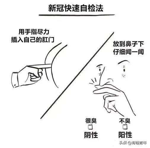 公鸡：他们在做啥午餐？猫：你老婆炖土豆