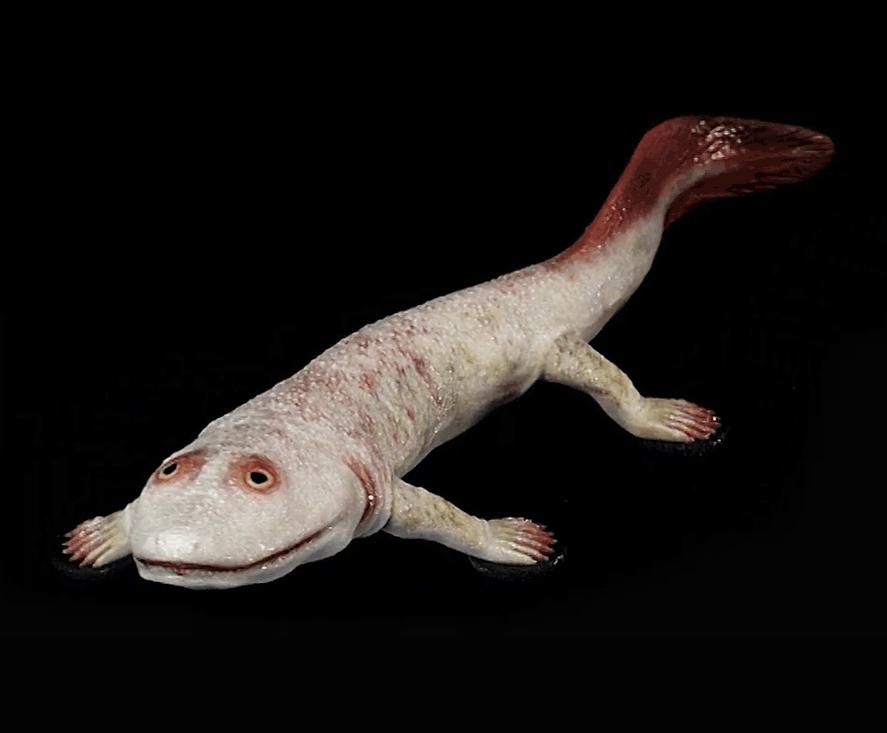 他们，做了一个违背祖宗的决定！|地球知识局