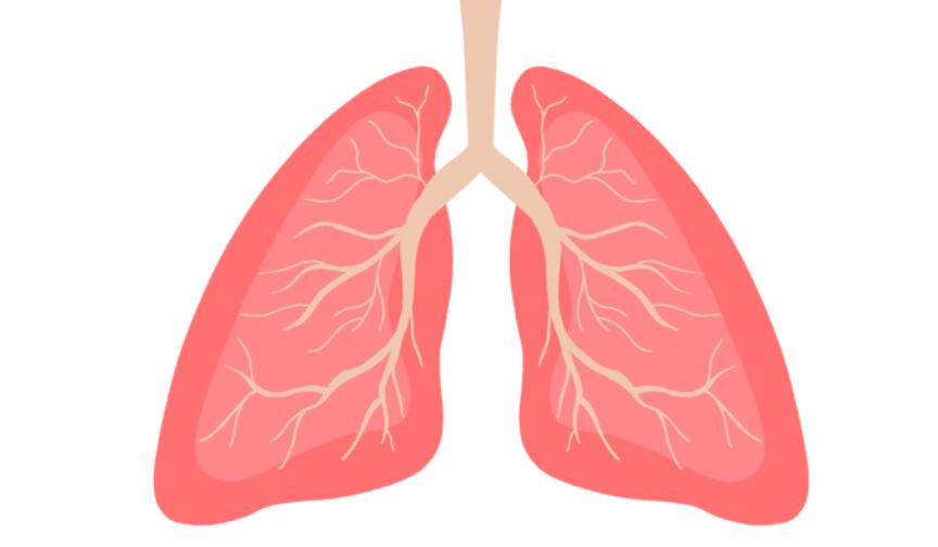 食谱止咳润肺的冰糖雪梨银耳汤,砂锅冰糖雪梨的正确做法润肺止咳