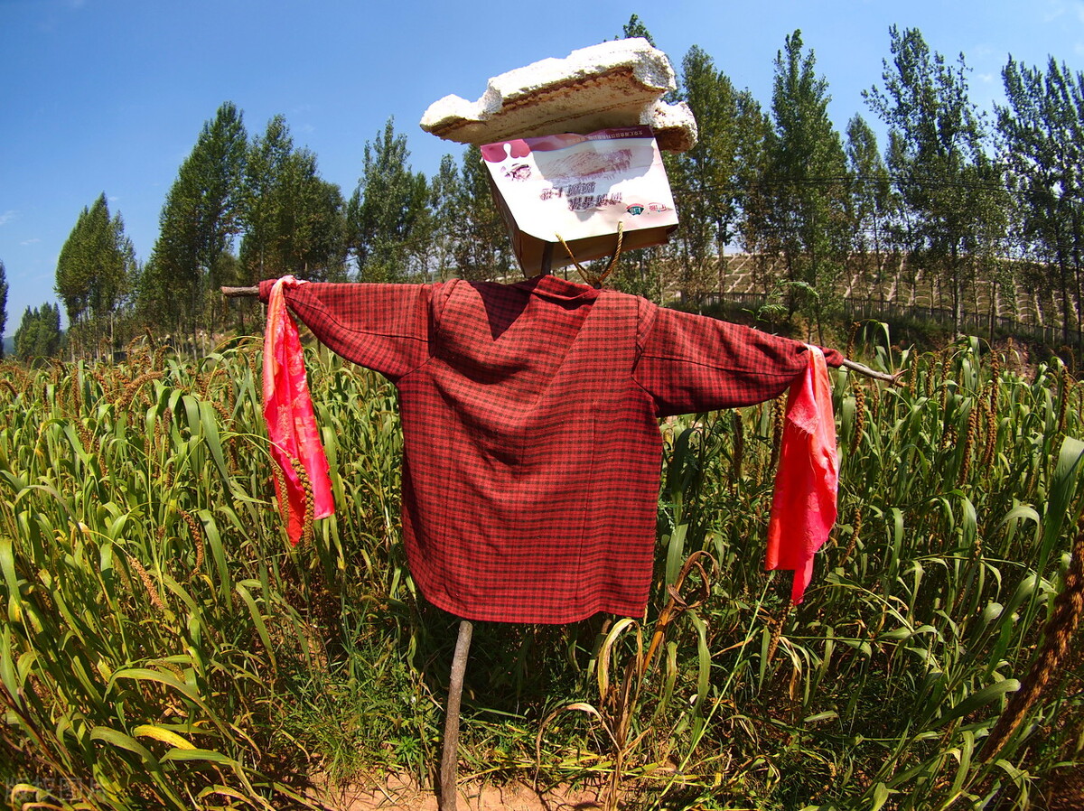 旧衣服应该怎么处理好,旧衣服最好的处理方式