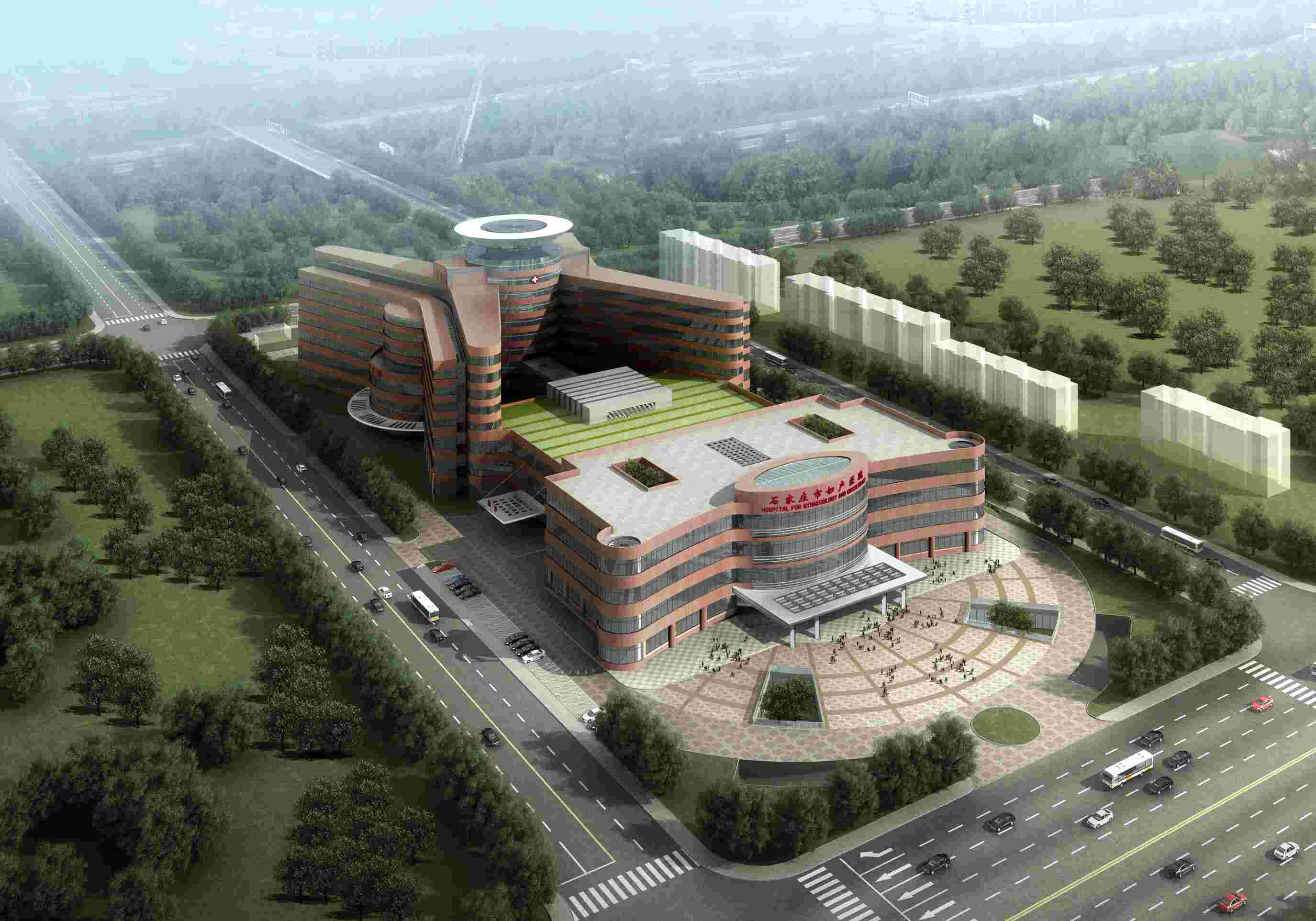 合肥和石家庄哪个城市比较好,合肥最有潜力的省会