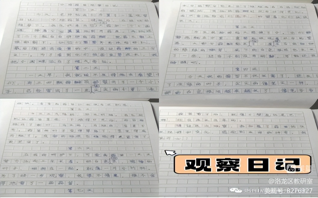 洛龙区未来小学“线上教学”经验分享（二十四）