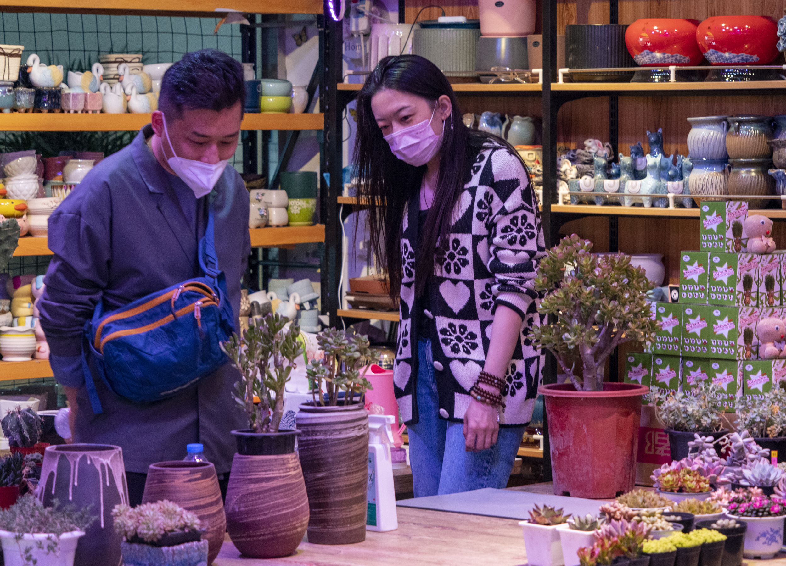 沈阳老北市场花鱼市场开业了吗,沈阳老北市场花鱼