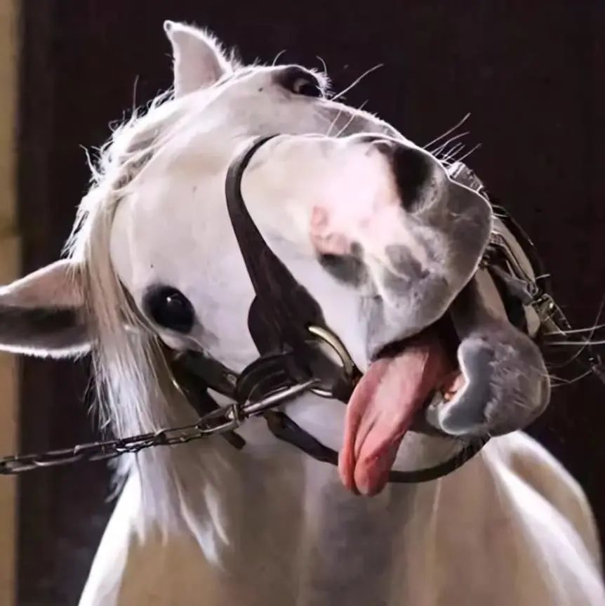 独家专访|世界上的另一个月下