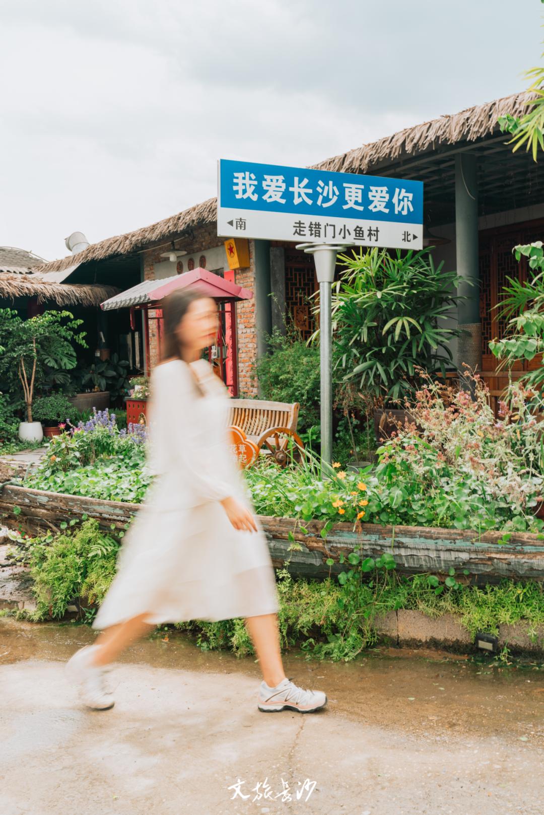 长沙赏秋去哪里,长沙第一波赏荷地图