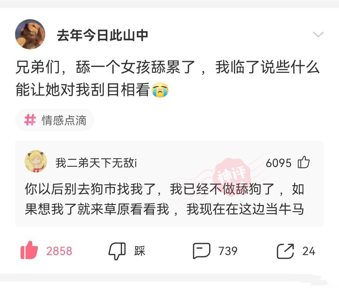 神回复：“兄弟们，舔一个女孩舔累了，说些什么能让她刮目相看”