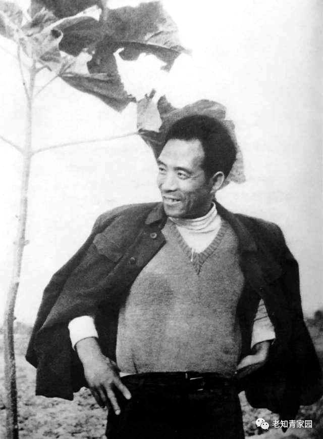 记录60年代真实中国生活,50年代百姓生活的真实影像