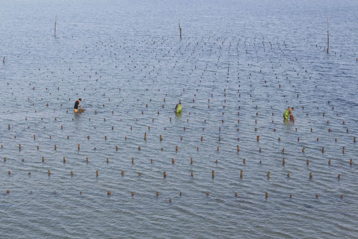 北海的涠洲岛上看海,北海涠洲之恋