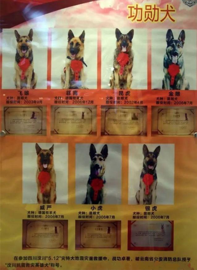 汶川地震搜救战士,汶川地震连续搜救十天十夜