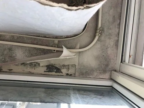 天花板发霉怎样处理最佳,天花板发霉如何解决