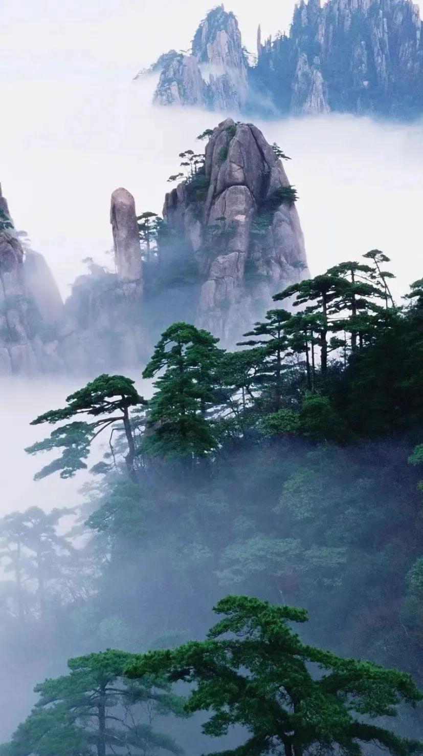 【名篇•文学艺术网】卢子英佳作《春游黄山》