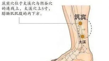 宁心安神选穴,董氏奇穴治疗烦躁不安