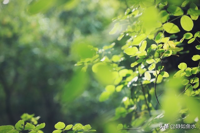 苏州穹窿山灵异事件,苏州穹窿山爱心线攻略