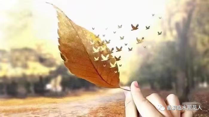 这儿真美作文三年级思维导图,三年级上册作文这儿真美思维导图