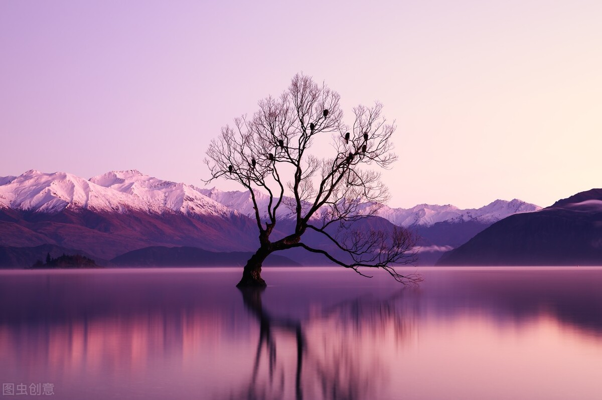 水瓶座怎么看人识人,水瓶座看人只看第一