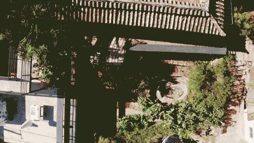 裸辞女教师云南,辞职女教师隐居山村多年