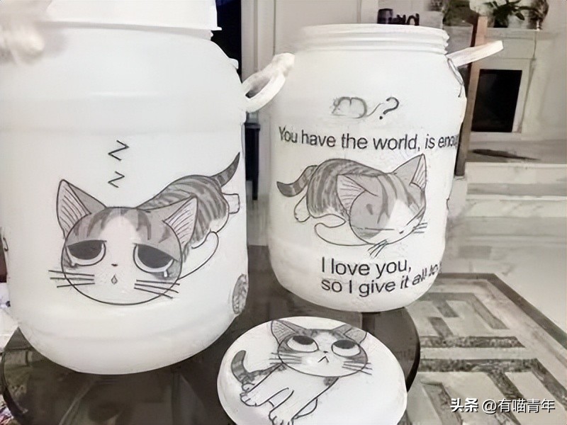 100件养猫好物,十元左右养猫好物分享