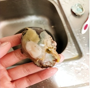 月子吃鲍鱼的最佳时间,产妇月子里什么时间可以吃鲍鱼