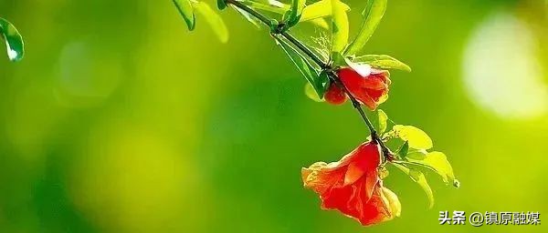 尘缘讲的是人生感悟吗,看淡尘缘自安心的句子