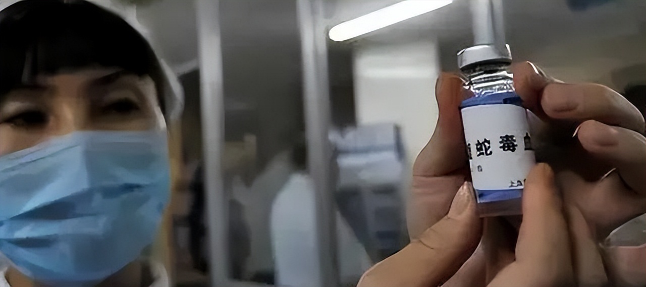 广西毒蛇女王是谁,广西毒蛇女王多少斤