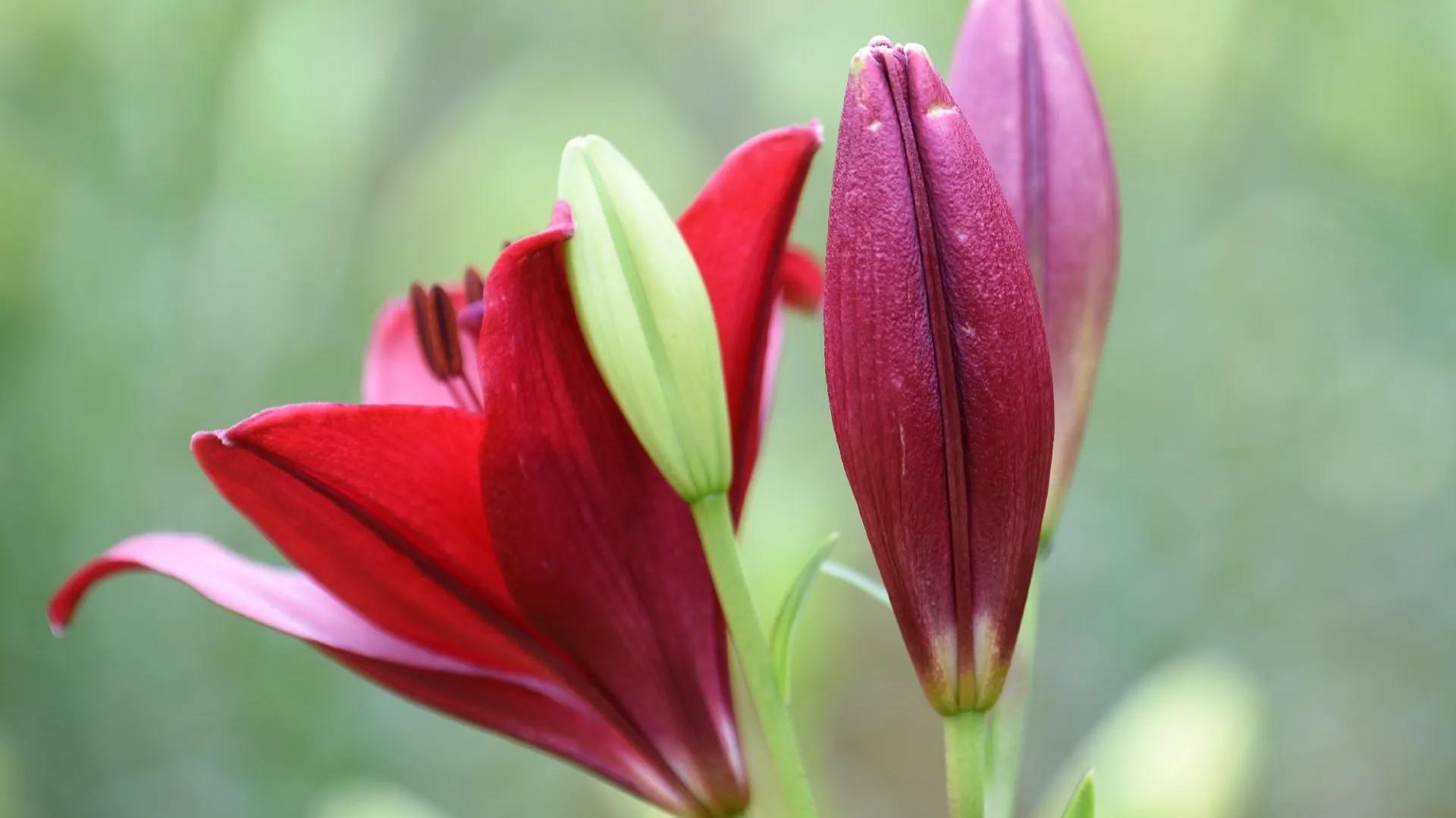 面对困难迎难而上的励志句子,人生当中最艰难的时候