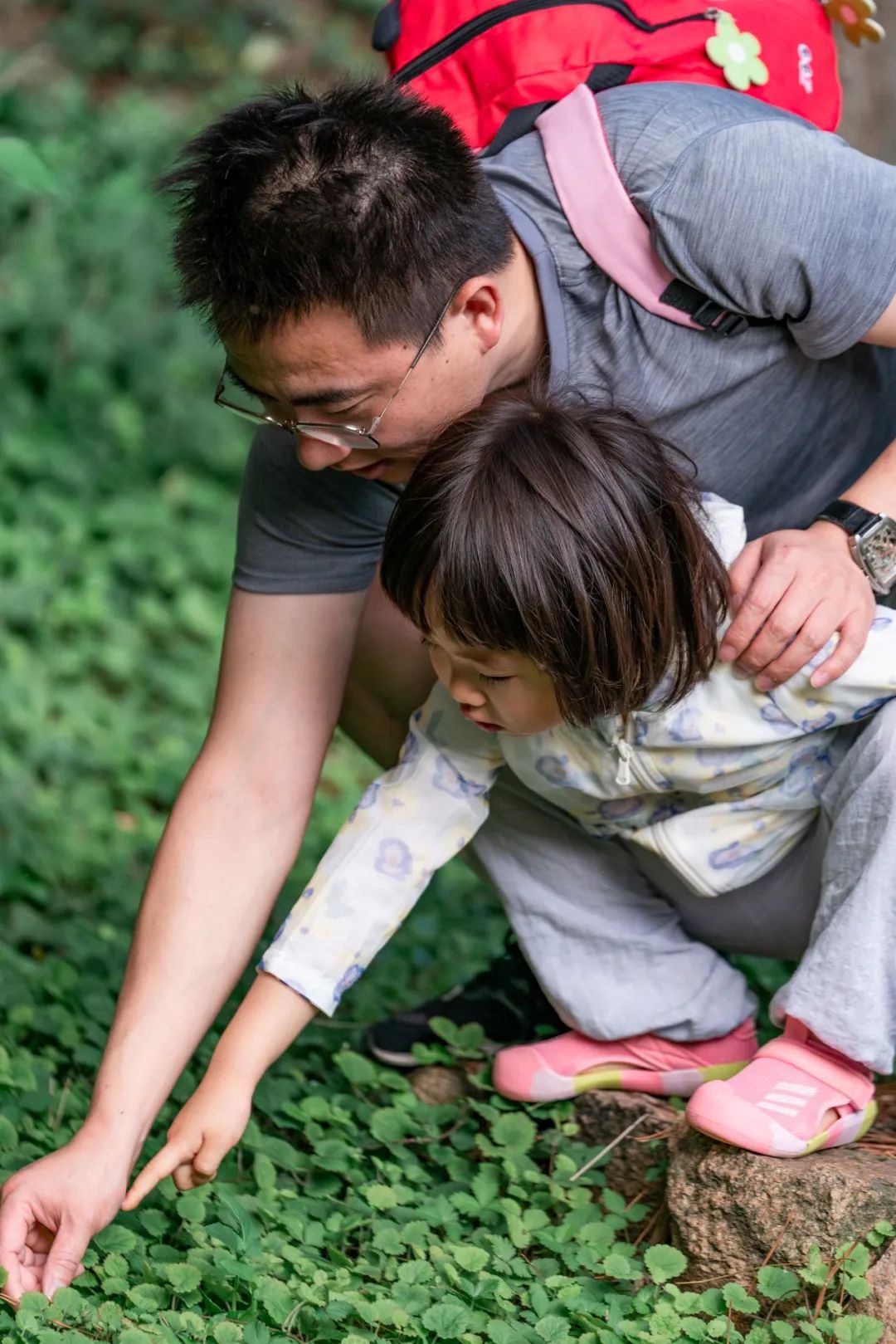 北京市密云区云峰山森林康养基地,北京密云康养基地