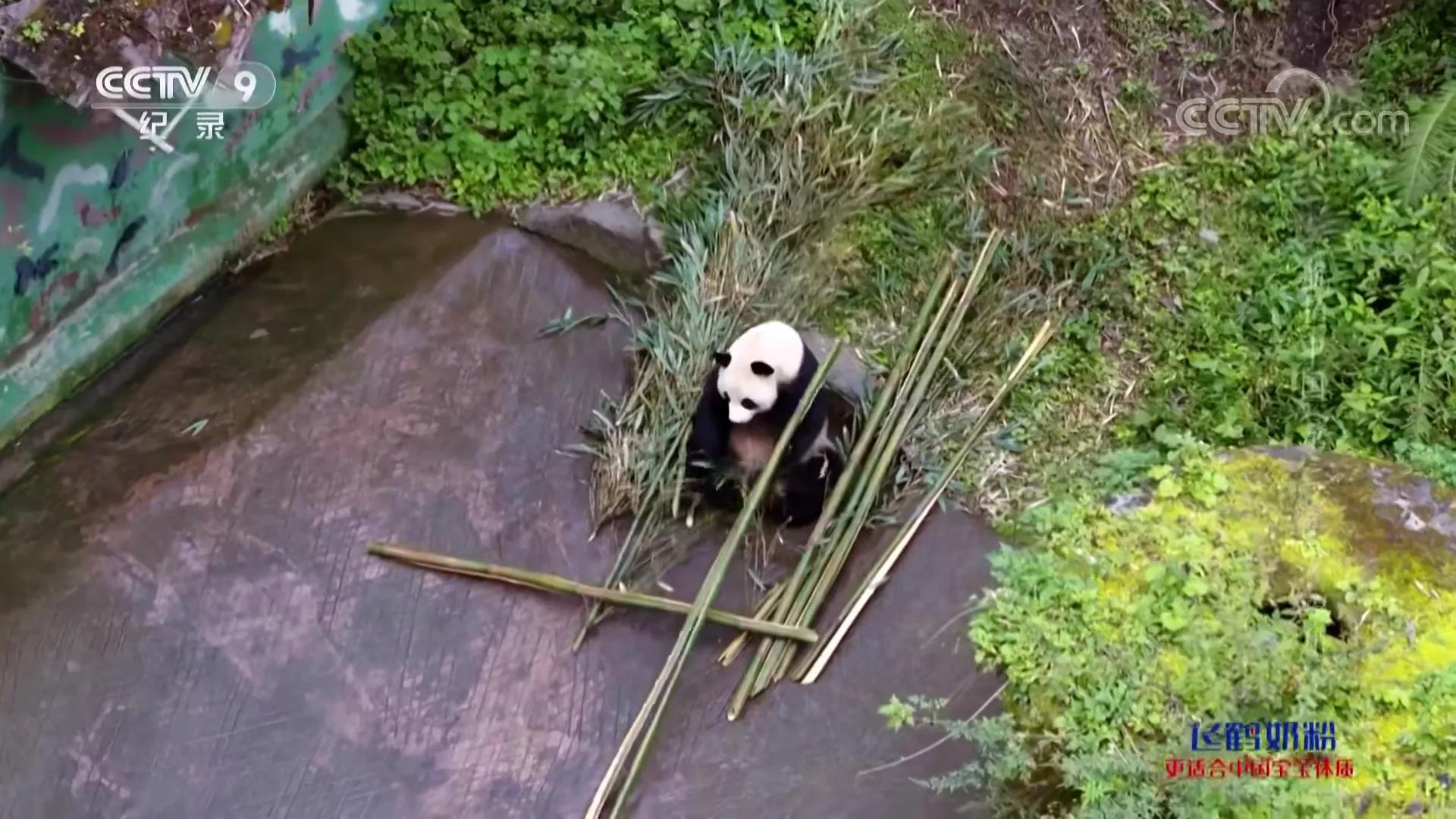 航拍中国第三季四川完整版,航拍中国四川篇视频