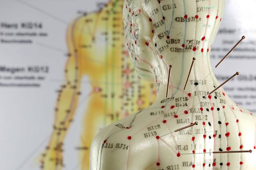 中医当归的主要功效主治,中医专家讲当归的作用和功效