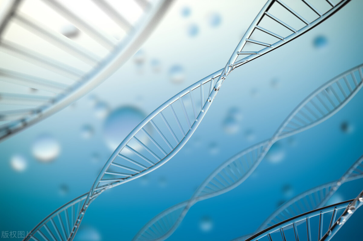 小微企业发展的现状及对策分析,解决当下小微企业盈利问题的对策